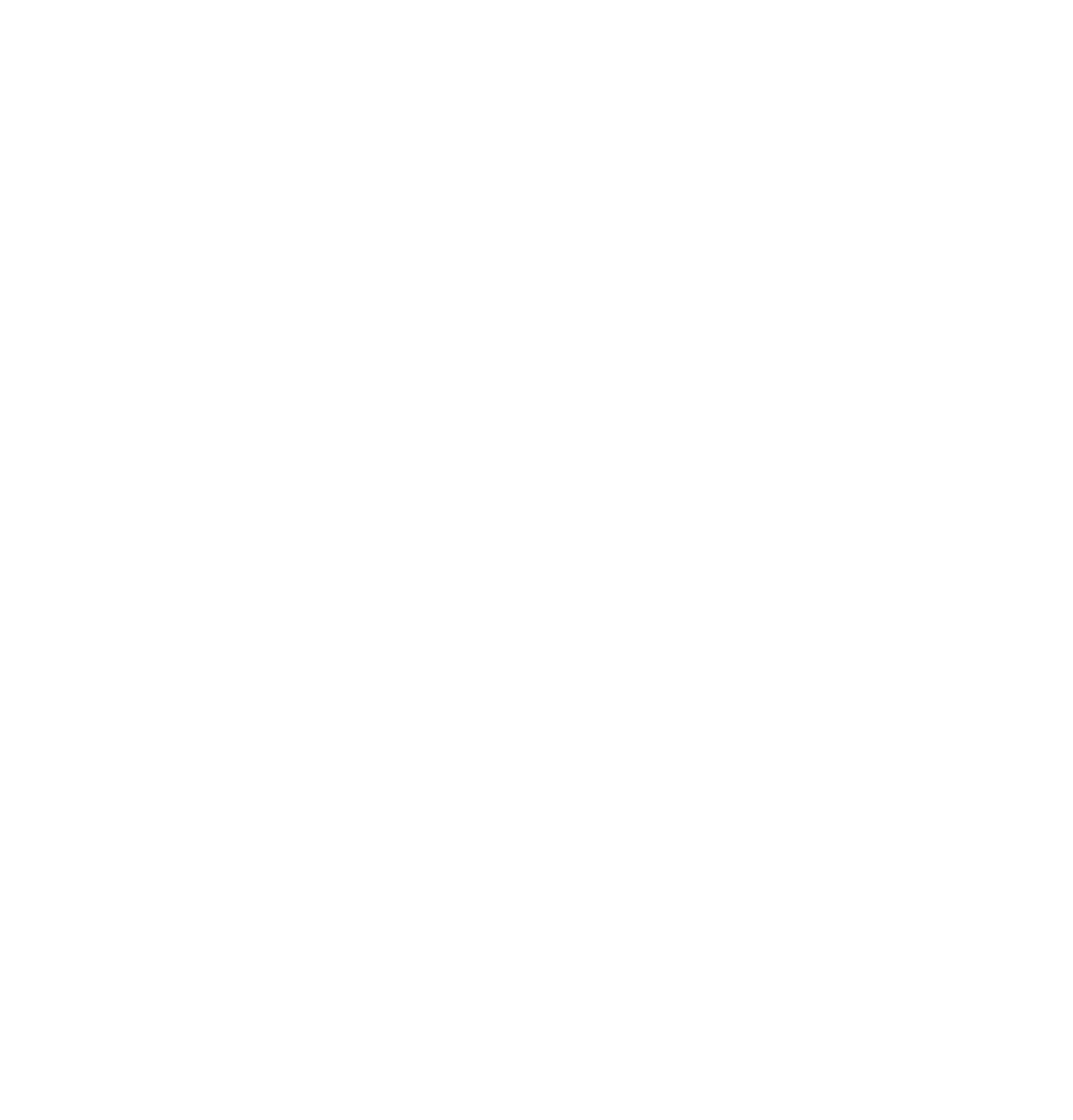 Logo WSB